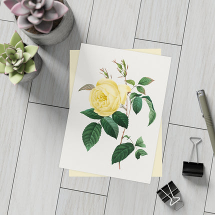 Yellow Rose by Pierre-Joseph Redouté Postcards (envelopes included) - Bundles of 10, 30, 50 Pieces