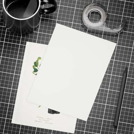Channel Billed Toucan by Paul Gervais Postcards (envelopes included) - Bundles of 10, 30, 50 Pieces