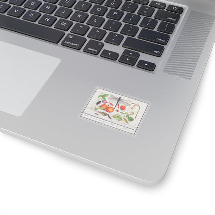 Natural History Ensemble, No. 7 by Anselmus Boëtius de Boodt Kiss-Cut Stickers (4 Sizes)