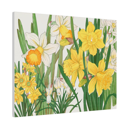 Golden Daffodils by Tanigami Kônan – Japanese Botanical Grace