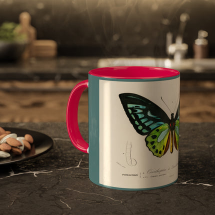 Green Birdwing by Charles Dessalines D' Orbigny Colorful Mugs, 11oz