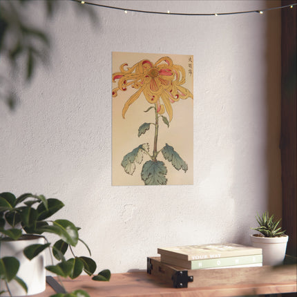 Chrysanthemum Grace Fine Art Poster