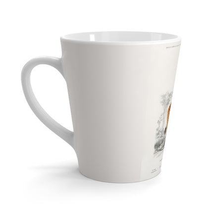 Giraffe by Charles Dessalines D' Orbigny Latte Mug