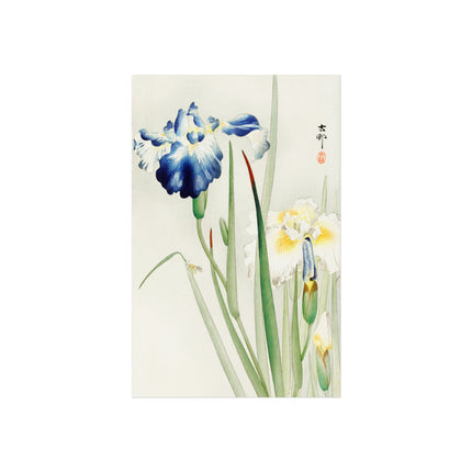 Irises by Ohara Koson Fine Art Posters
