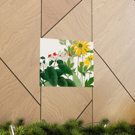Clerodendrum & Rudbeckia by Tanigami Kônan Premium Matte Horizontal Posters