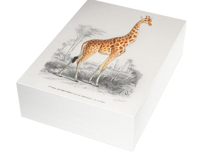 Giraffe by Charles Dessalines D'Orbigny Postcards (envelopes included) - Bundles of 10, 30, 50 Pieces
