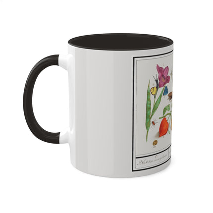Natural History Ensemble, No. 17 by Anselmus Boëtius de Boodt Colorful Mugs, 11oz