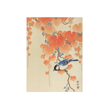 Great Tit on Paulownia Branch by Ohara Koson  Fine Art Posters