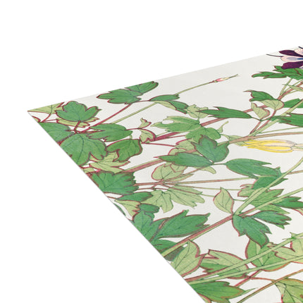 Aquilegia Flower by Tanigami Kônan Postcards (envelopes included) - Bundles of 10, 30, 50 Pieces