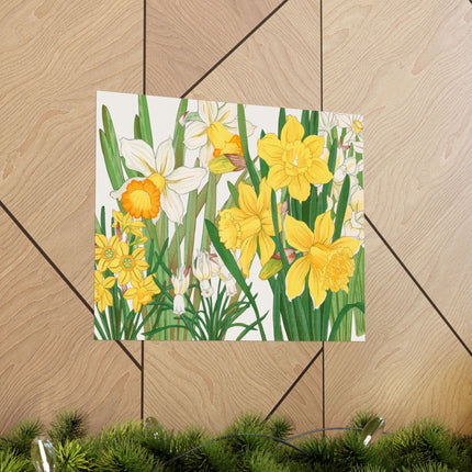 Daffodil by Tanigami Kônan Premium Matte horizontal posters