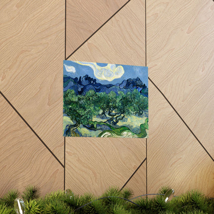Olive Trees by Vincent Van Gogh Matte Horizontal Posters