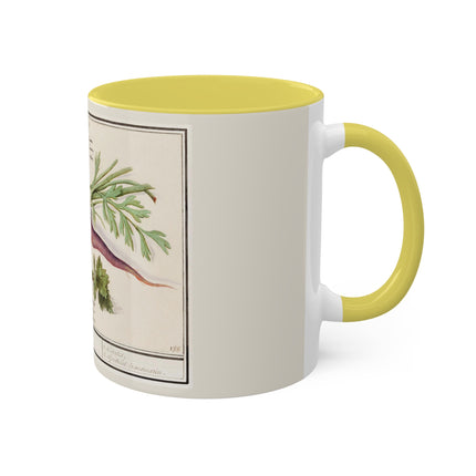 Carrot, Daucus Carota and Red currant, Ribes rubrum by Anselmus Boëtius de Boodt Colorful Mugs, 11oz