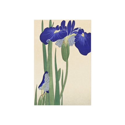 Blue Irises by Ohara Koson Fine Art Posters