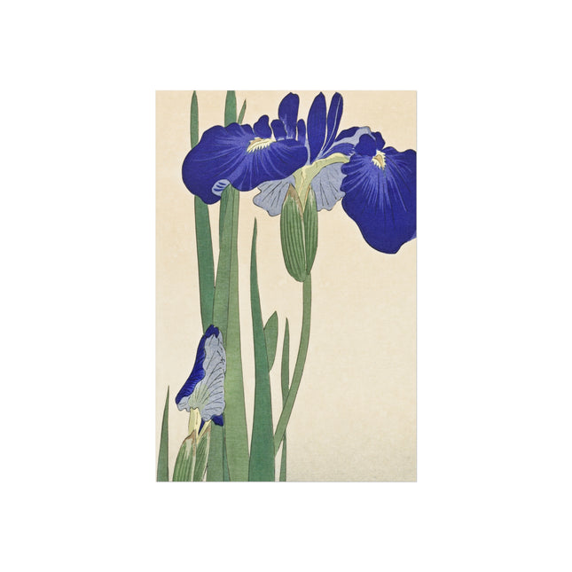 Blue Irises by Ohara Koson Fine Art Posters