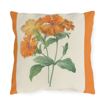 Choix des plus belles fleurs, Plate 044 by Pierre Joseph Redouté Outdoor Pillows