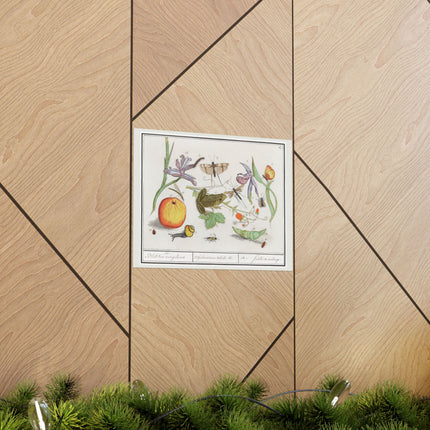 Natural History Ensemble, No. 12 by Anselmus Boëtius de Boodt Matte Horizontal Posters