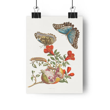 Blue Butterflies and Pomegranate Giclée Art Print
