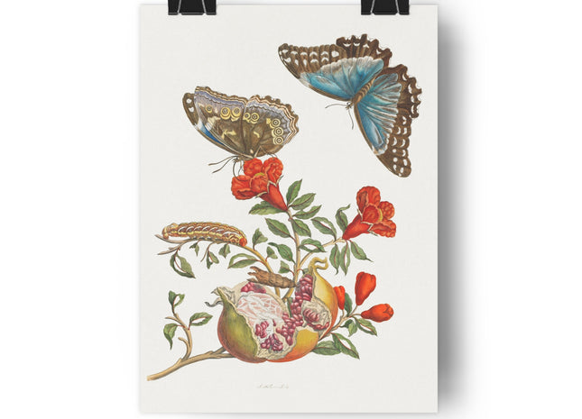 Blue Butterflies and Pomegranate Giclée Art Print
