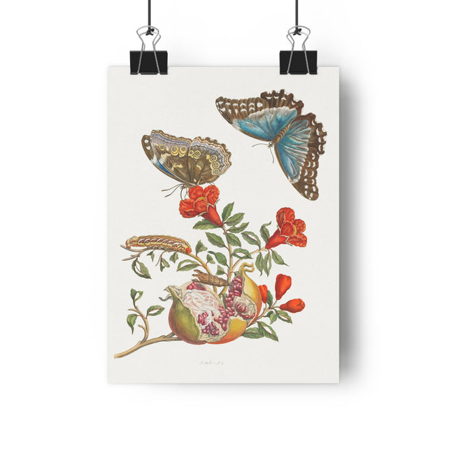Blue Butterflies and Pomegranate Giclée Art Print