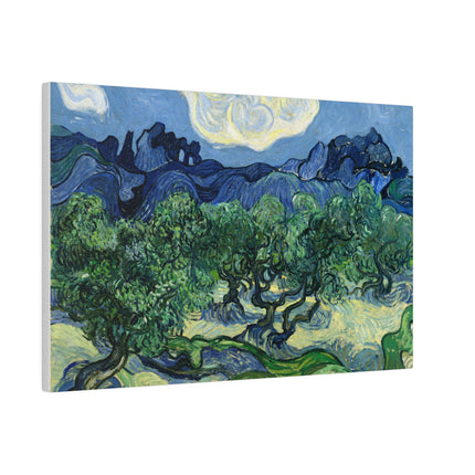 Olive Trees by Vincent Van Gogh Matte Canvas, Stretched, 0.75"