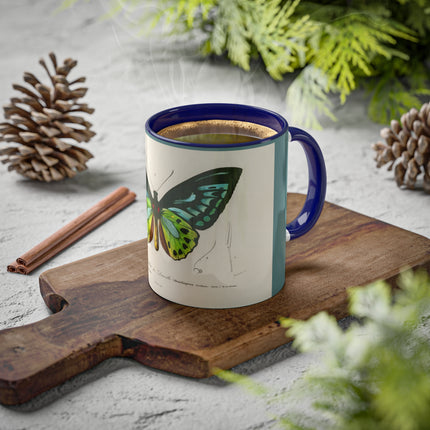 Green Birdwing by Charles Dessalines D' Orbigny Colorful Mugs, 11oz