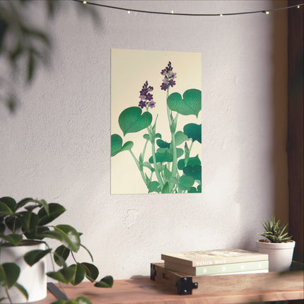 Blooming Hosta by Ohara Koson Fine Art Posters