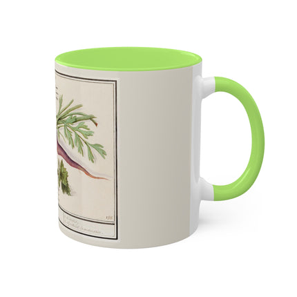 Carrot, Daucus Carota and Red currant, Ribes rubrum by Anselmus Boëtius de Boodt Colorful Mugs, 11oz