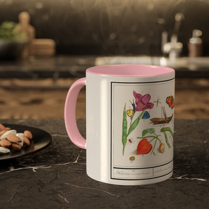 Natural History Ensemble, No. 17 by Anselmus Boëtius de Boodt Colorful Mugs, 11oz