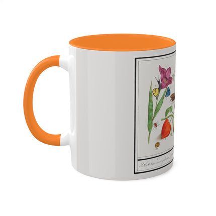 Natural History Ensemble, No. 17 by Anselmus Boëtius de Boodt Colorful Mugs, 11oz