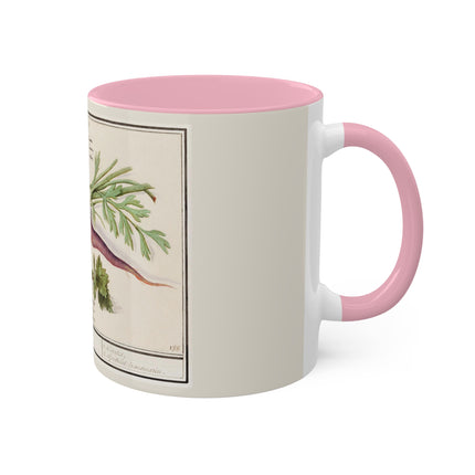 Carrot, Daucus Carota and Red currant, Ribes rubrum by Anselmus Boëtius de Boodt Colorful Mugs, 11oz