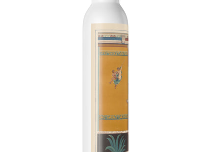 Pompeii Wall Pl.20 by Victor Steeger Slim Water Bottle