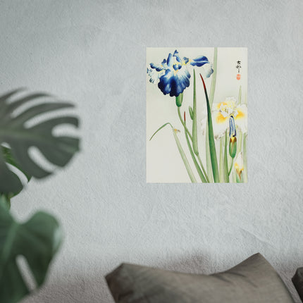 Irises by Ohara Koson Fine Art Posters