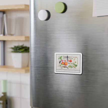 Natural History Ensemble, No. 7 Die-Cut Magnets (5 Sizes)