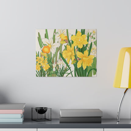 Golden Daffodils by Tanigami Kônan – Japanese Botanical Grace