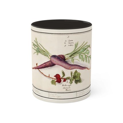 Carrot, Daucus Carota and Red currant, Ribes rubrum by Anselmus Boëtius de Boodt Colorful Mugs, 11oz