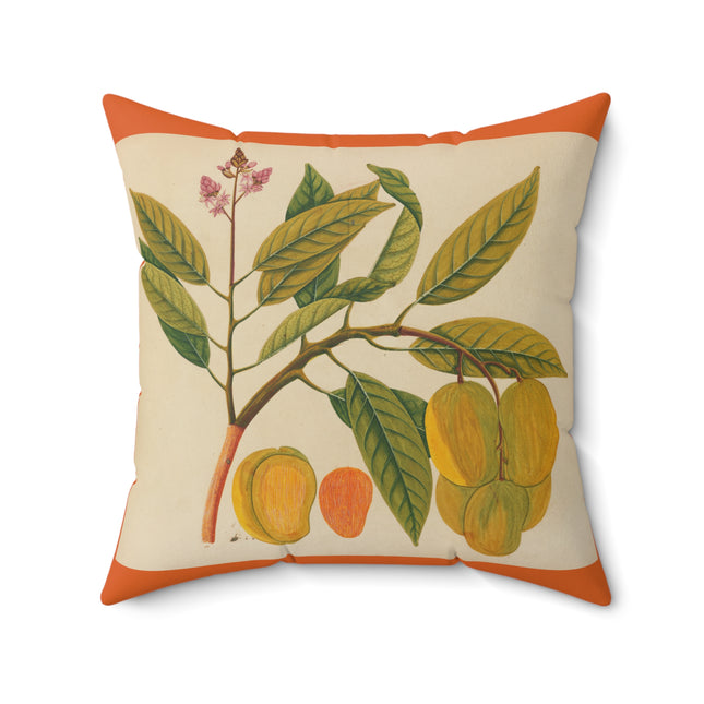 Album of watercolors of Asian fruits and flowers Pl.21 by Anonymous Spun Polyester Square Pillow