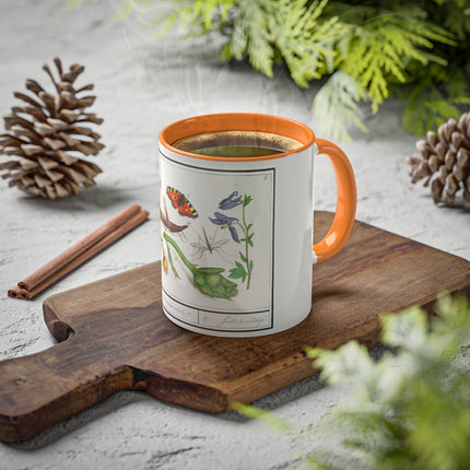 Natural History Ensemble, No. 17 by Anselmus Boëtius de Boodt Colorful Mugs, 11oz