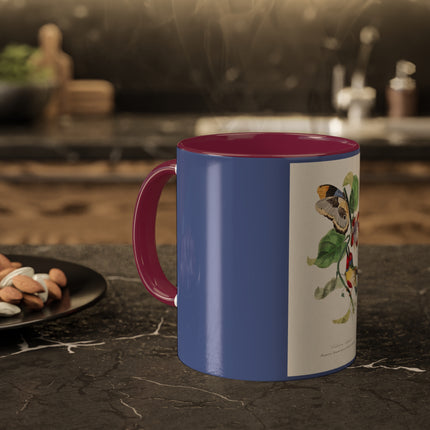 Versicolored Barbet by Paul Gervais Colorful Mugs, 11oz