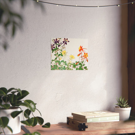 Aquilegia Flower by Tanigami Kônan Premium Matte horizontal posters