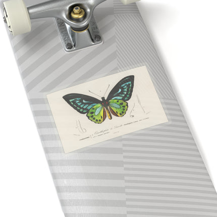 Green Birdwing by Charles Dessalines D' Orbigny Kiss-Cut Stickers (4 Sizes)