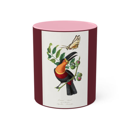 Channel Billed Toucan by Paul Gervais Colorful Mugs, 11oz