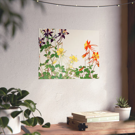 Aquilegia Flower by Tanigami Kônan Premium Matte horizontal posters