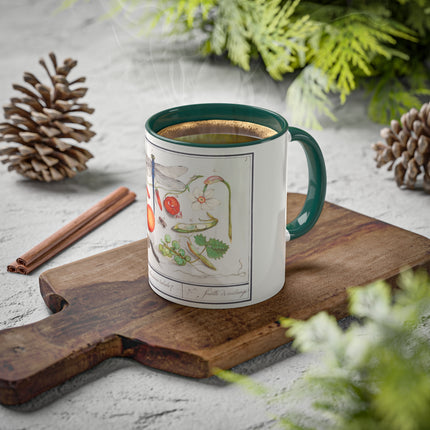 Natural History Ensemble, No. 7 by Anselmus Boëtius de Boodt Colorful Mugs, 11oz