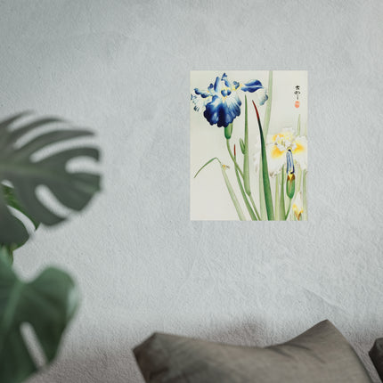 Irises by Ohara Koson Fine Art Posters