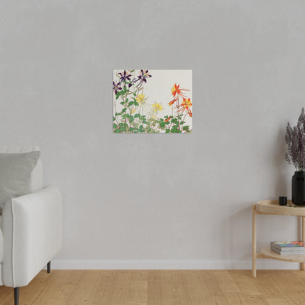 Aquilegia Flower by Tanigami Kônan – Japanese Botanical Art