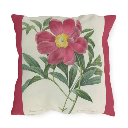 Choix des plus belles fleurs, Plate 075 by Pierre Joseph Redouté Outdoor Pillows