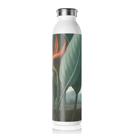 Bird of Paradise by Robert John Thornton Slim Water Bottle