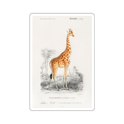 Giraffe by Charles Dessalines D' Orbigny Kiss-Cut Stickers (4 Sizes)