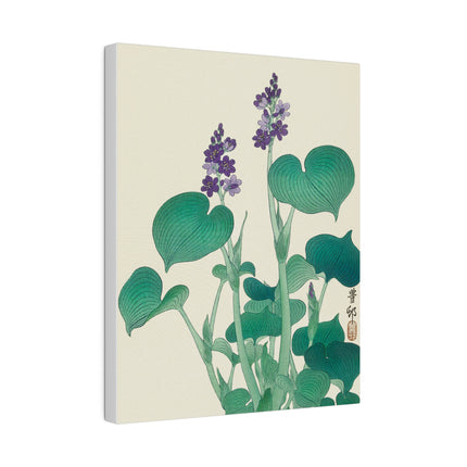 Blooming Hosta by Ohara Koson – Japanese Botanical Elegance