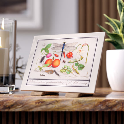 Natural History Ensemble, No. 7 Ceramic Tile